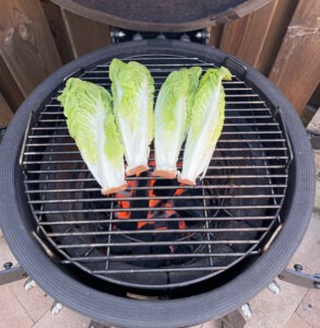 romaine sla op de BBQ grillen, gegrilde groente